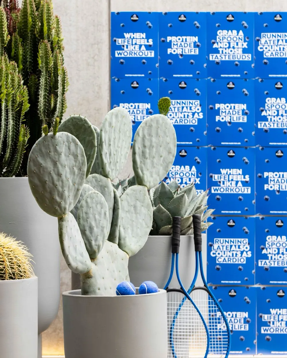 Pauls PLUS+ Protein branded signage styled with cacti and tennis rackets