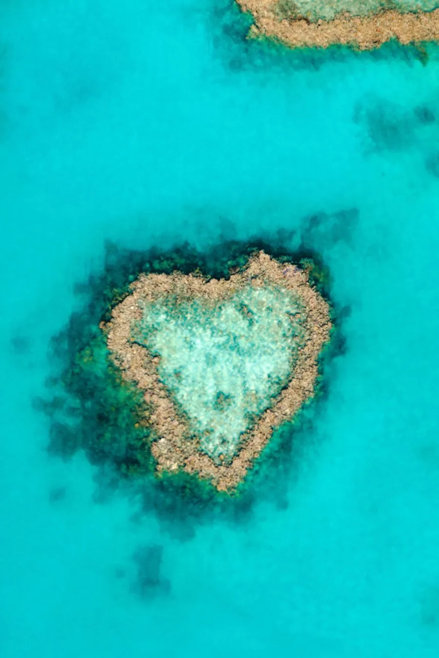 Heart Reef, a naturally heart-shaped coral formation in the Whitsundays